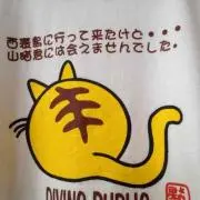 白洲清澄（はくしゅう）の画像