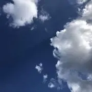 くまの画像