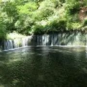 Takaの画像
