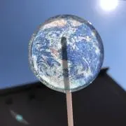 Hogihogiの画像