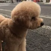 みっちぃ