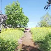 SnowR.の画像