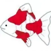 金魚の画像