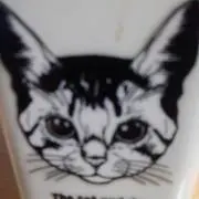 かりめろの画像