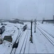 ゆうま