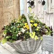 ユミネコの画像