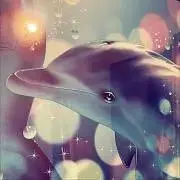 svsvsuの画像