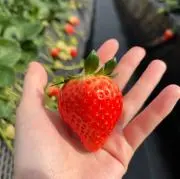 るんぱ