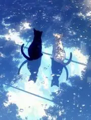 Elysiaの画像