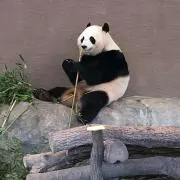 るみえの画像