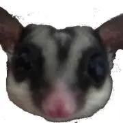 つまころ
