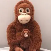 おさるさんの画像