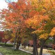 A.Iの画像