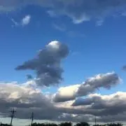 霰 ◇の画像