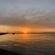 hktyo56