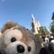 ロップ★プロフ必読の画像