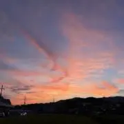 Peenatuの画像