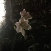 えるの画像
