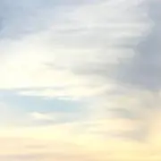 ささのはの画像