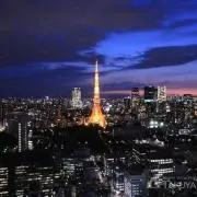 (˶﻿ ̇ ̵ ̇﻿˶﻿ )即購入Ok