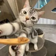 ぽんちゃん