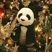 sss即購入OKの画像