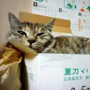 なちこ＊プロフ必読お願い致します！