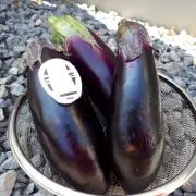 なすの画像