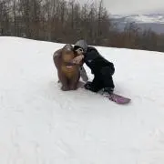 コロコロわっちゃ
