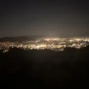 た