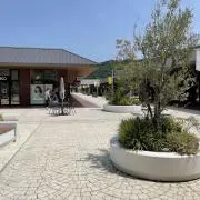 シゲの画像