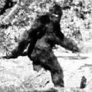 よろずの画像