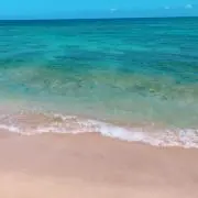 Seaの画像