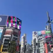 あいの画像