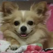 ふぅたろう