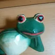 ミゾレの画像