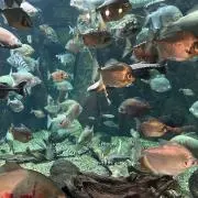 mrの画像
