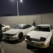 MF