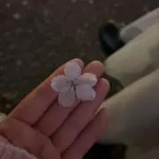 Rinの画像