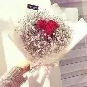 ぽの画像