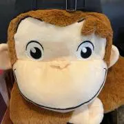 ぬん！の画像
