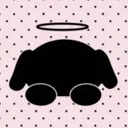 星はしご