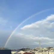 ひまわり