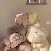 ぴのの画像