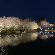 11s_storeの画像