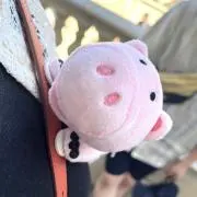 pumicoの画像