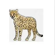 ブランド品専門ショップ　チーターの画像