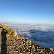 あーだこーだの画像