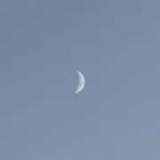 おもち。