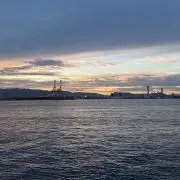 Rinの画像